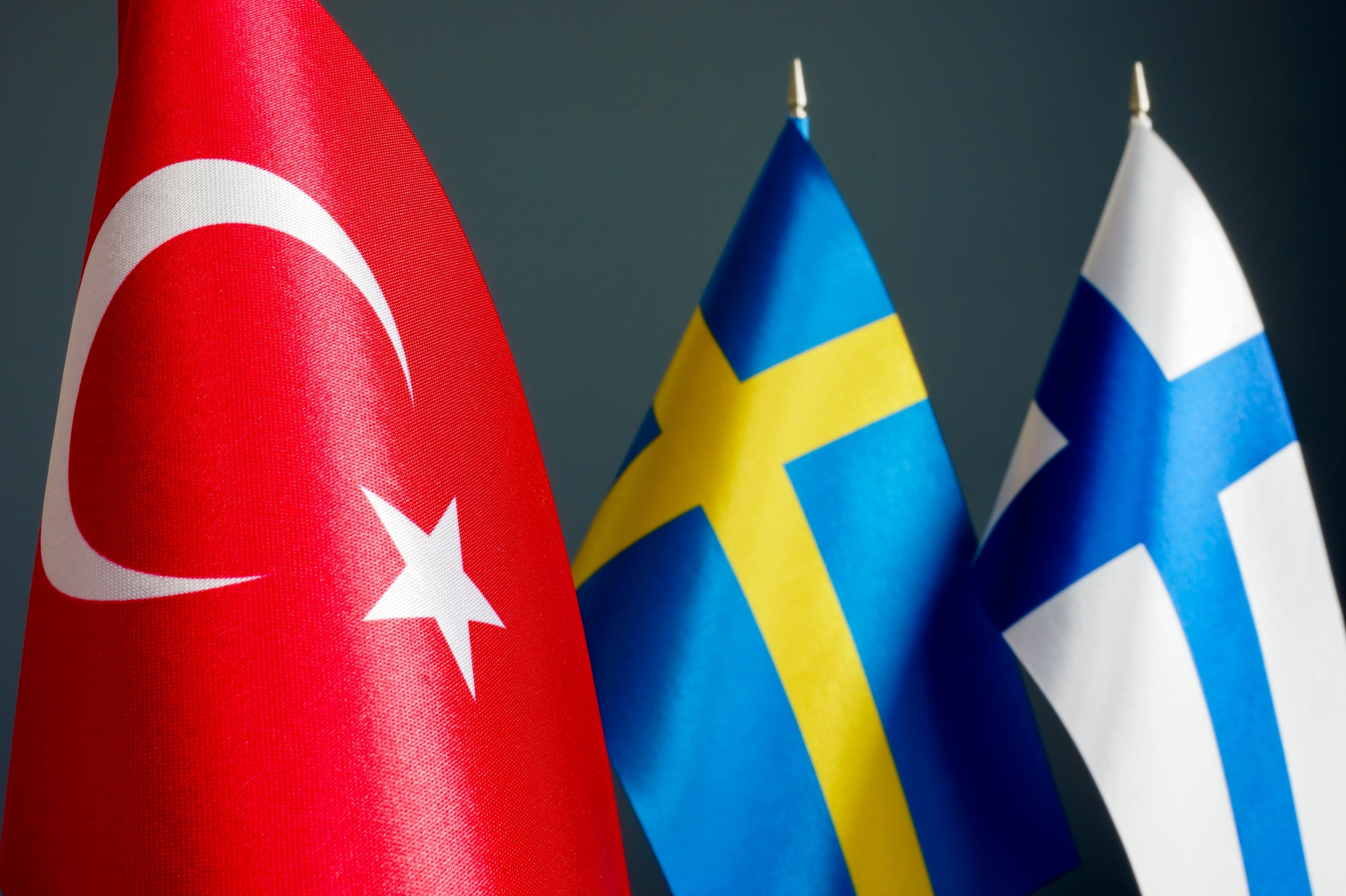 Швеция против турции. Швеция в НАТО. Турция Швеция НАТО. Турция Финляндия НАТО. Финляндия в НАТО.