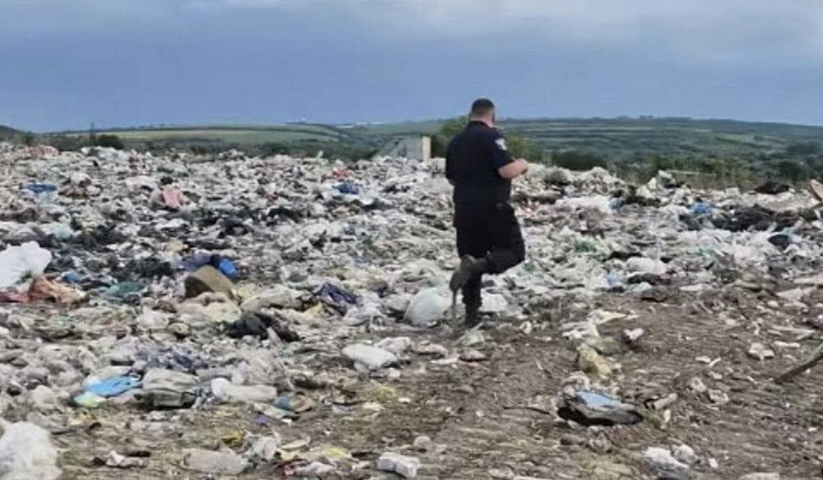 В Молдові на звалищі виявили сотні румунських водійських посвідчень