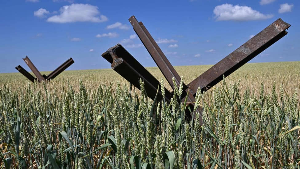 FT: ЄС може запровадити підвищені мита на українські товари з 6 червня