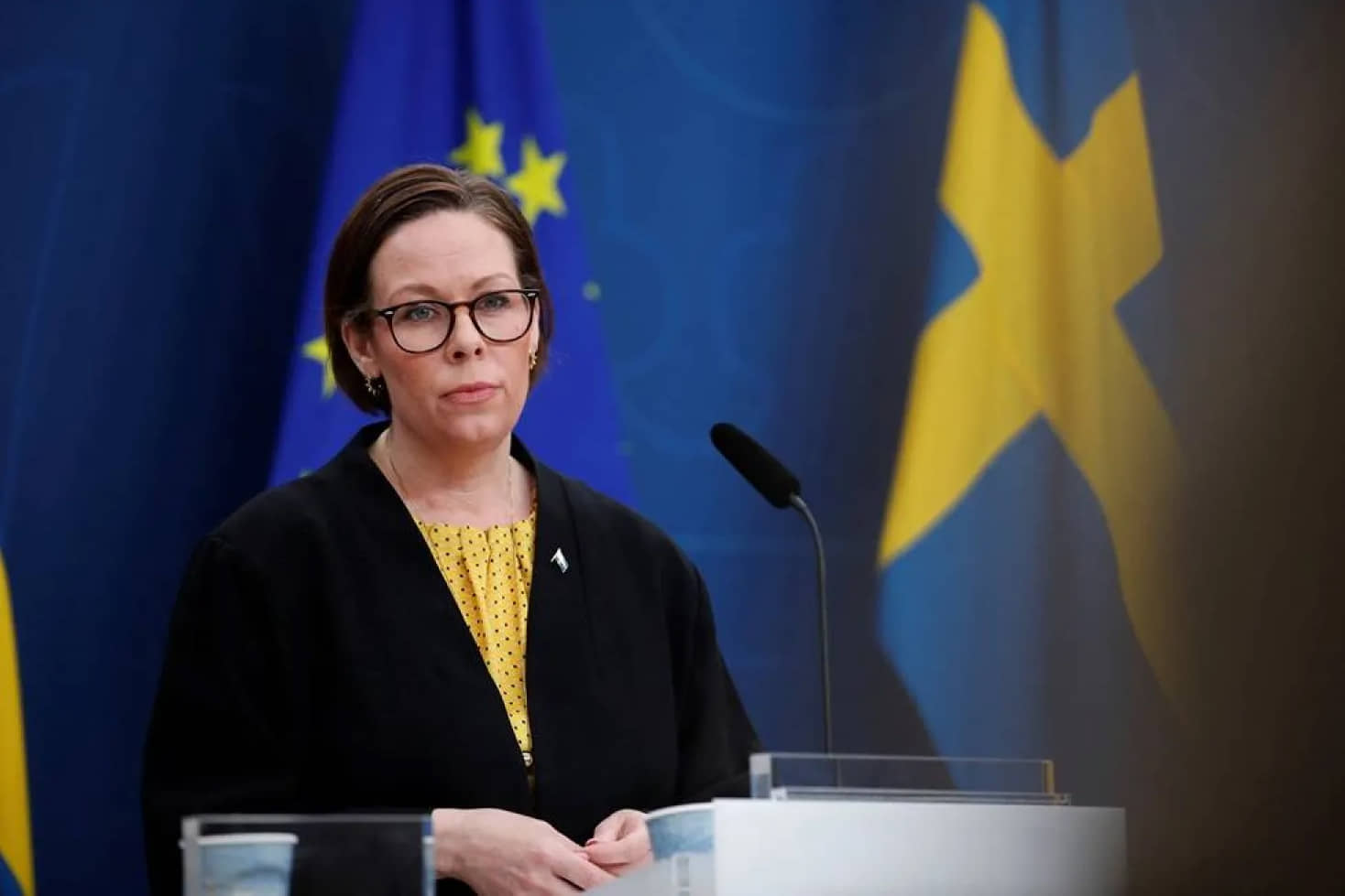 Шведська міністерка розповіла, що хоче бачити у 20-му пакеті санкцій ЄС проти Росії