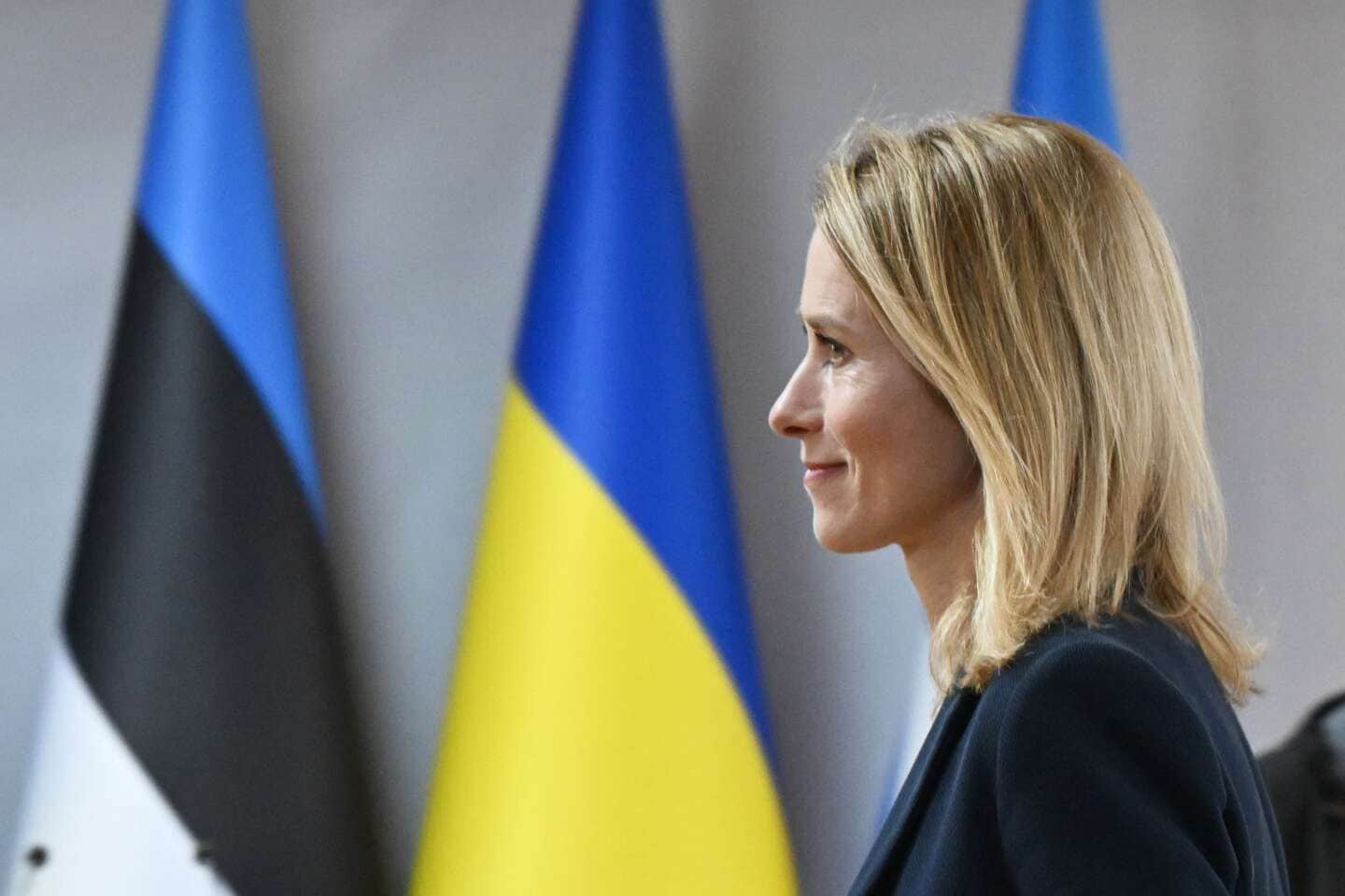 Премьер Эстонии: У нас нет ''плана Б'' на случай поражения Украины ...