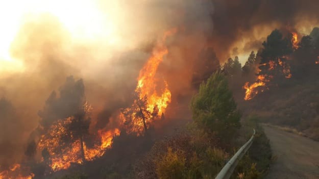 Перша велика пожежа в році вже знищила 4000 гектарів лісу в Іспанії