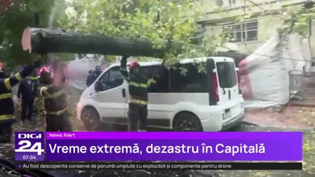 Из репортажа Digi24