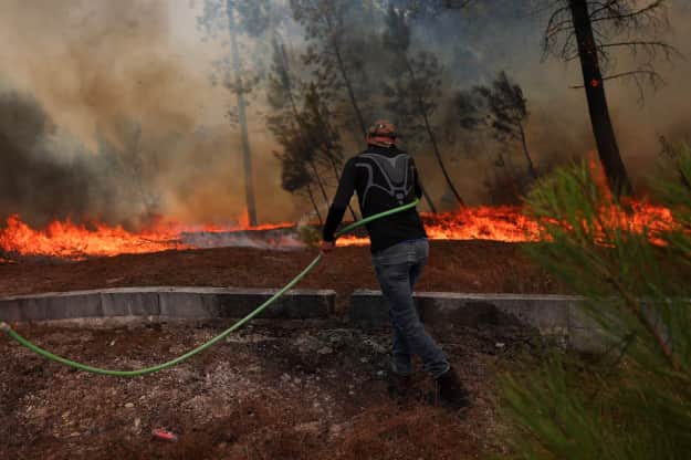 Фото: Reuters