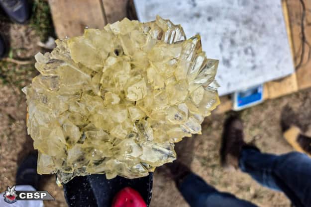 Фото: Центральне бюро розслідувань