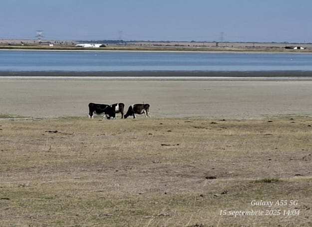 Фото: со страницы администрации бассейна реки Жиу