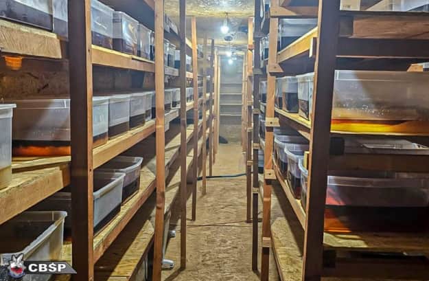 Фото: Центральне бюро розслідувань