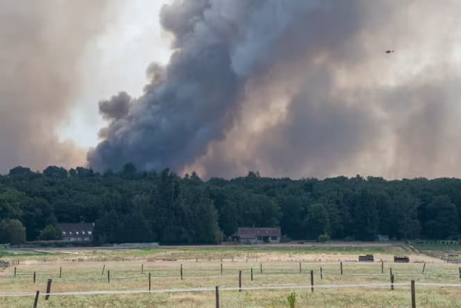 У Франції затримали двох підозрюваних у провокуванні масштабної лісової пожежі