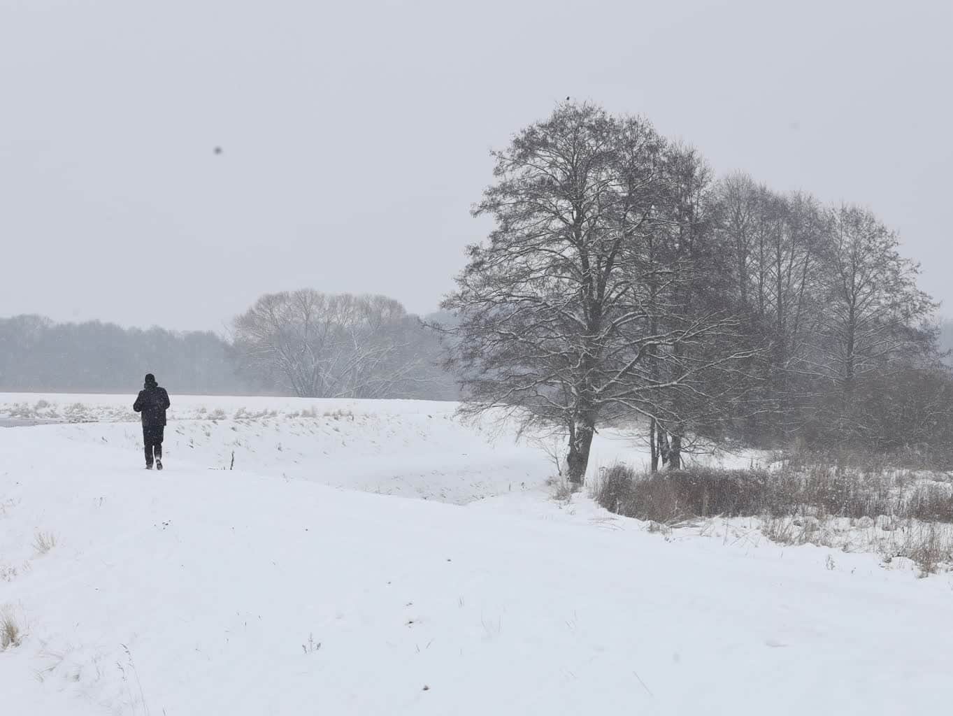У Польщі попереджають про найхолоднішу ніч цього року