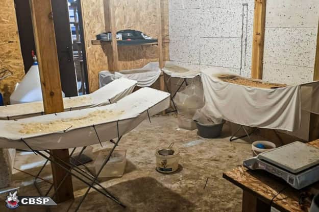 Фото: Центральне бюро розслідувань