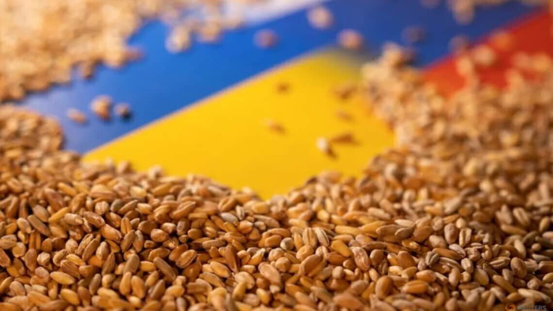 European Commission Sees No Negative Impact of Ukrainian Agricultural Exports on EU Markets - Vimarsana News