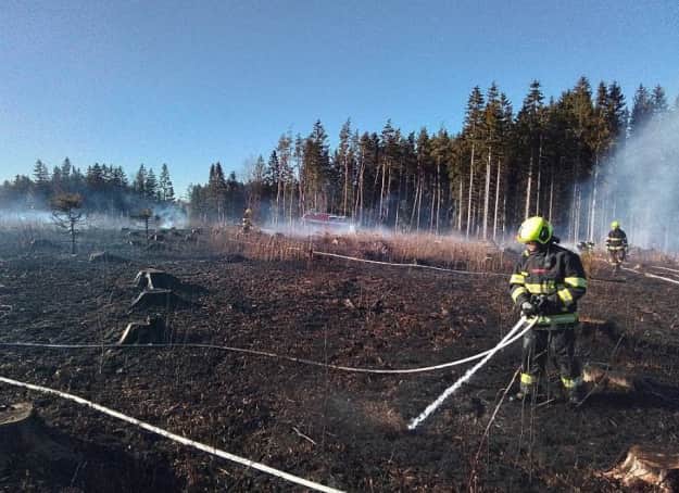 Фото: Пожарно-спасательная служба Высочинского края