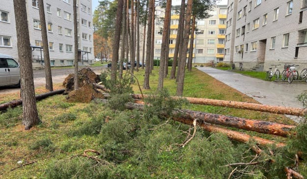 Последствия бури в приморском городе Хаапсалу. Juhan Hepner/ERR