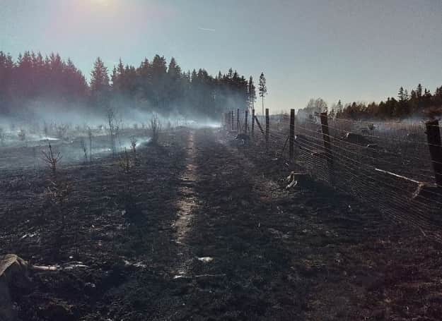 Фото: Пожарно-спасательная служба Высочинского края