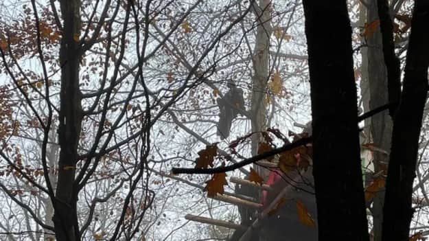 Фото: Tagesschau Фото: Tagesschau